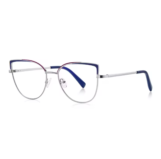 Timeless clear frame eyewear