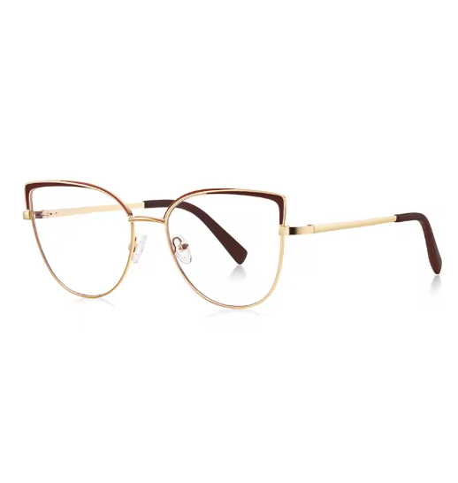 Timeless clear frame eyewear