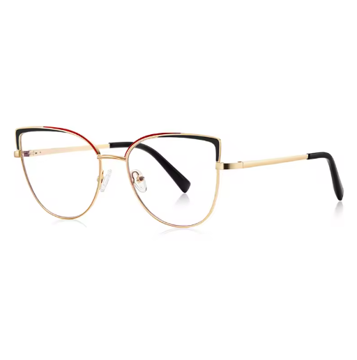 Timeless clear frame eyewear